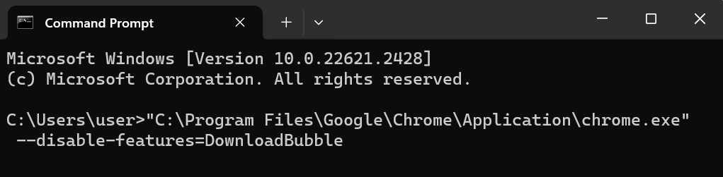 The command to disable Download Bubble in Chrome on a Terminal window.