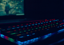A gaming monitor and a keyboard.