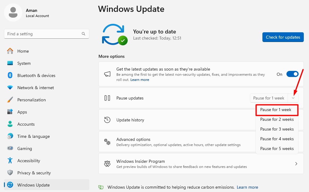 "Pause for 1 week" highlighted in Windows 11 Update settings.