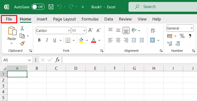 "File" highlighted in Excel.