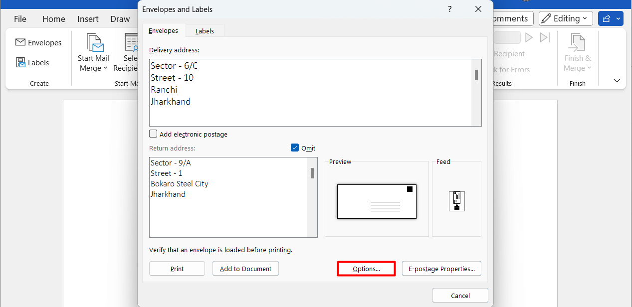 "Options" highlighted on the "Envelopes and Labels" window.