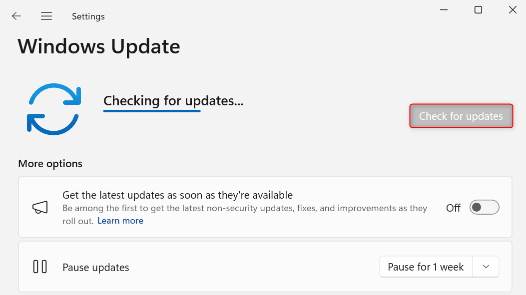 "Check for updates" highlighted in Windows 11 Settings.