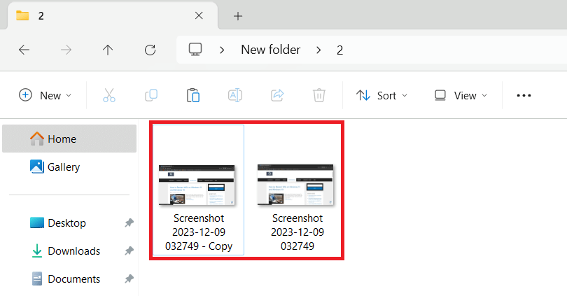 Two identical images in a folder in File Explorer.