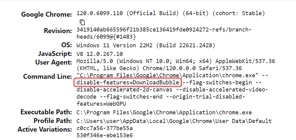 "chrome://version" screen in Google Chrome.