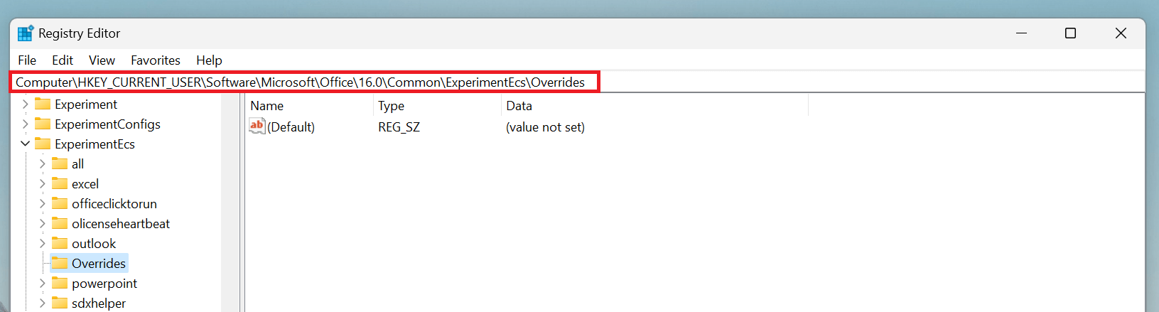 Path to "Overrides" folder highlighted in Registry Editor