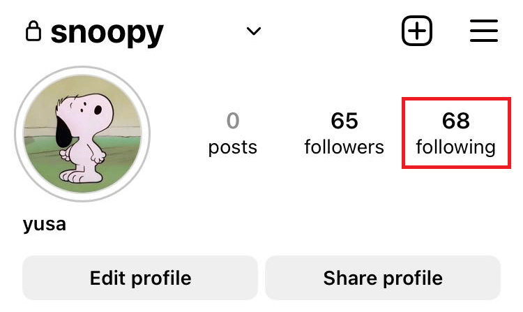 "Following" count highlighted on an Instagram profile page.