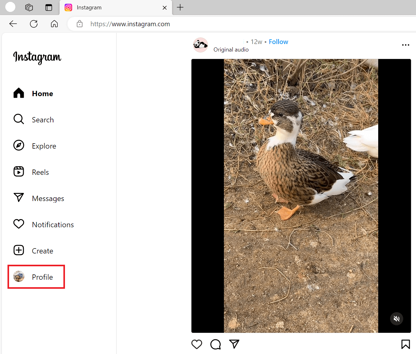 "Profile" option highlighted in Instagram for Web.