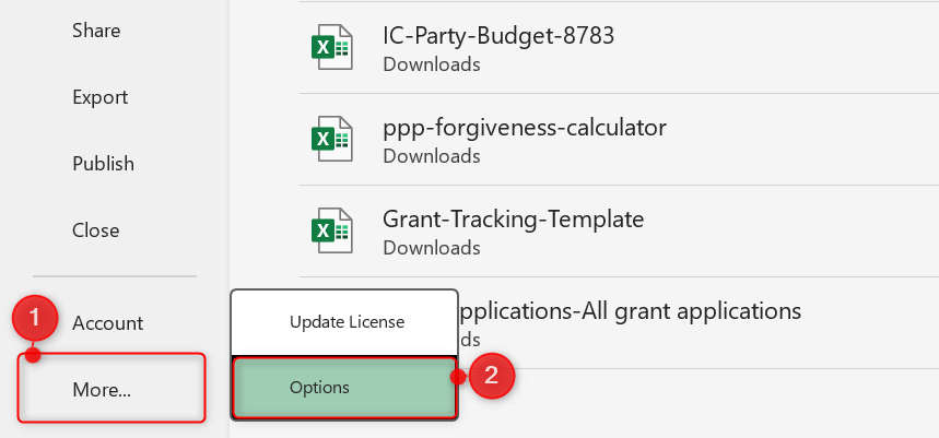 "More" and "Options" highlighted in Excel File tab.