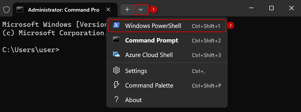 "Windows PowerShell" option in Terminal.