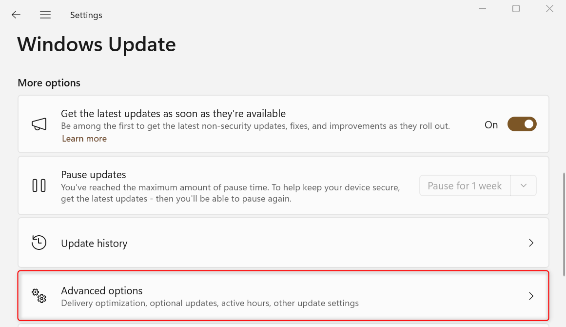 "Advanced options" submenu in Windows Update settings.