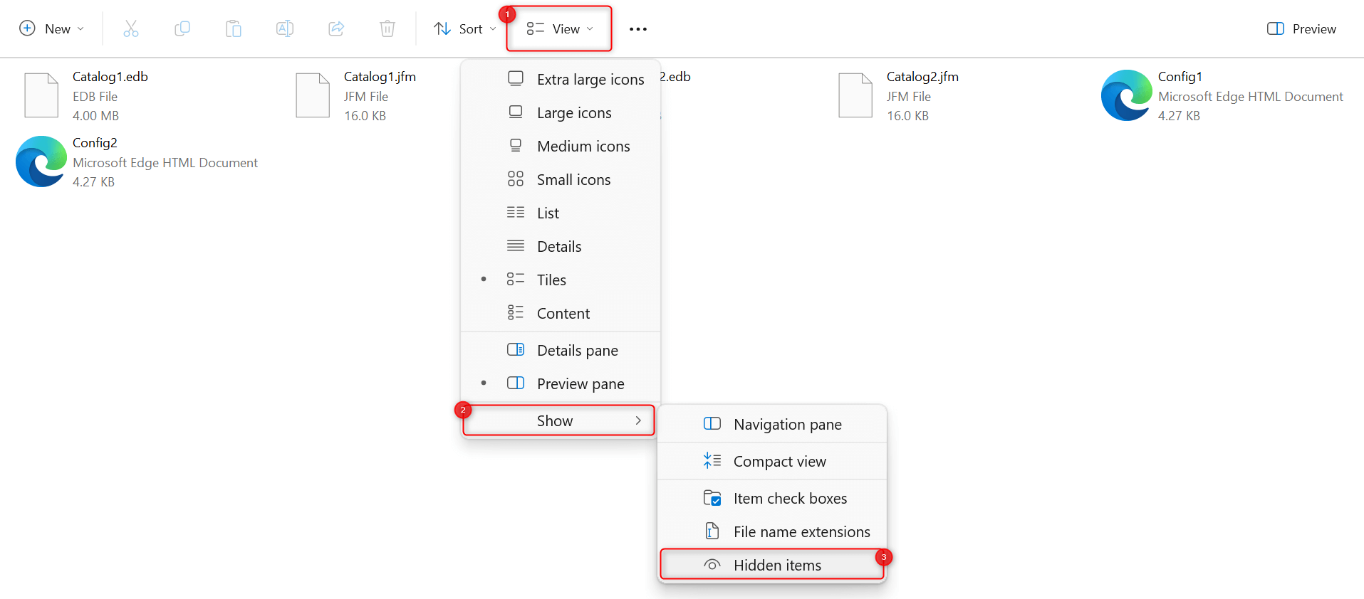 "Hidden items" option highlighted in File Explorer.