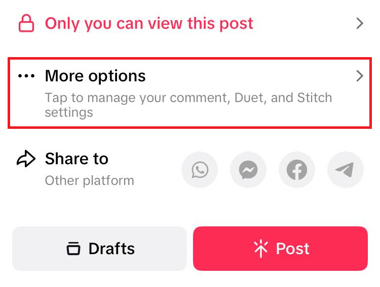 "More options" highlighted in TikTok post preferences.
