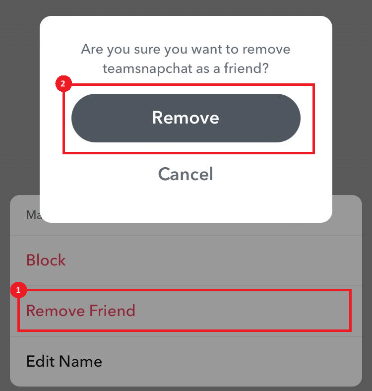 "Remove Friend" and "Remove" options highlighted in Snapchat.