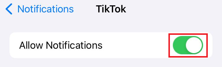 "Allow Notifications" switch in iPhone Settings.