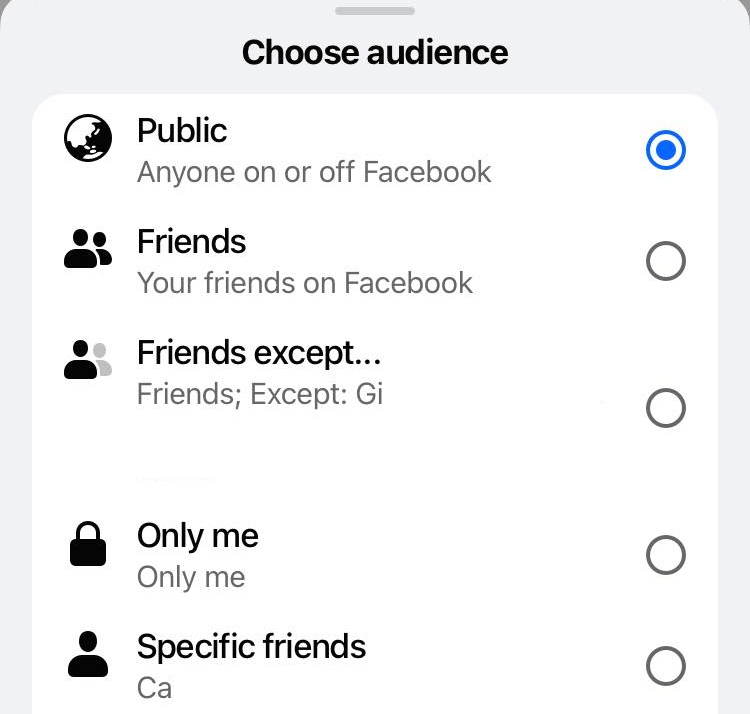 "Choose audience" menu in Facebook app.