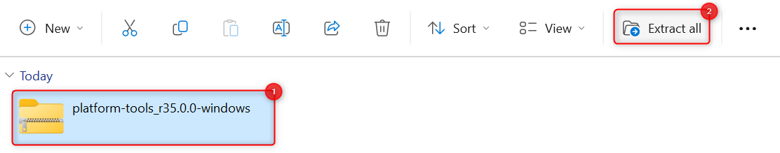 "Extract all" button in File Explorer.